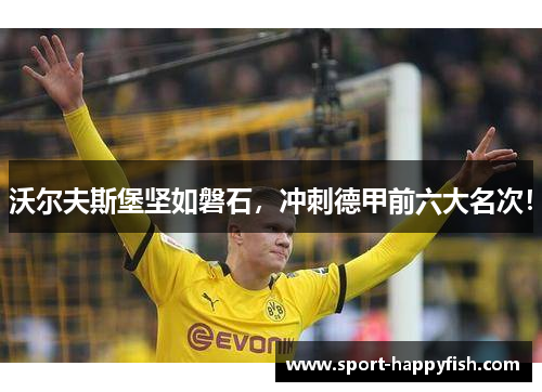 沃尔夫斯堡坚如磐石，冲刺德甲前六大名次！